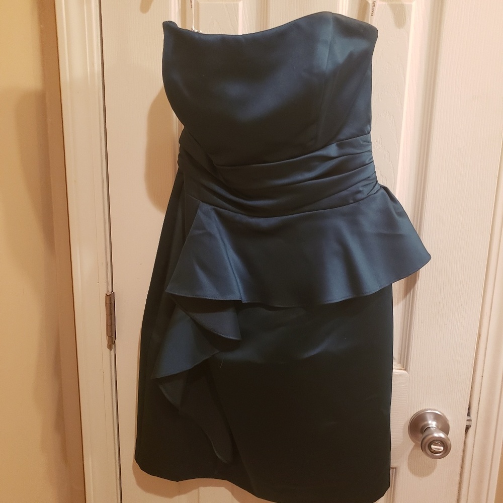 David's Bridal bridesmaid's dress